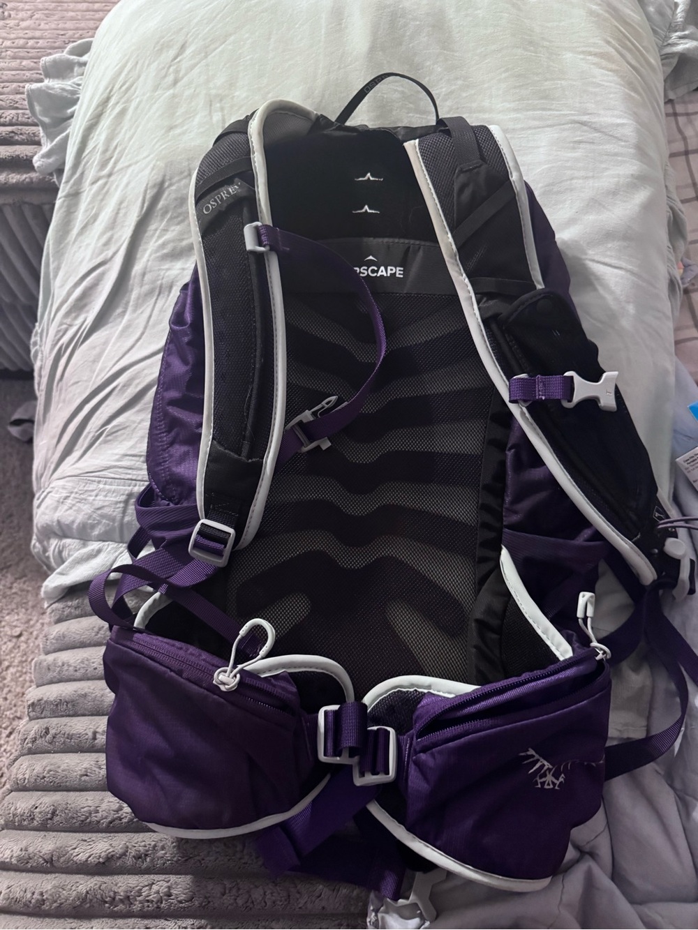 OSPREY Tempest 20 Purple Daypack Backpack - Picture 3 of 5